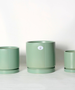 עציץ אוטופיק ירוק