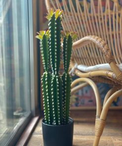 קקטוס מלאכותי בסגנון בוהו שיק