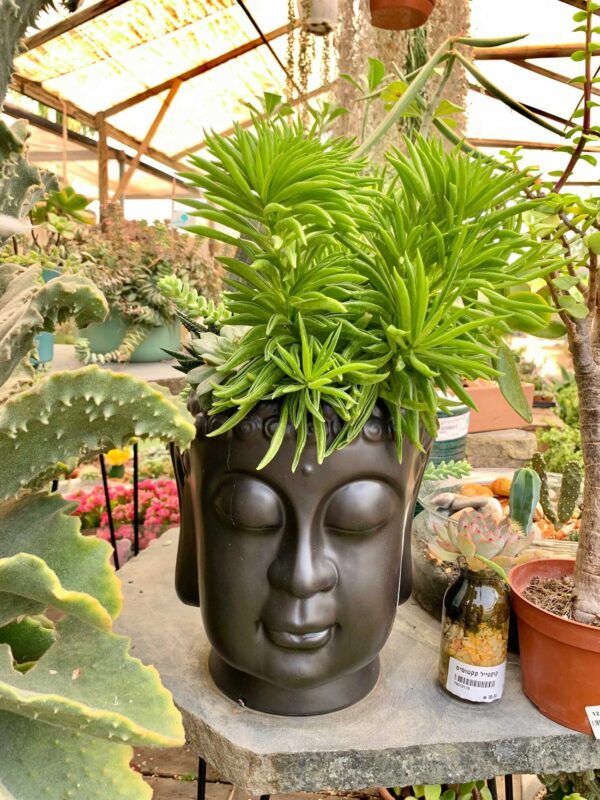 Buddha ceramic pot