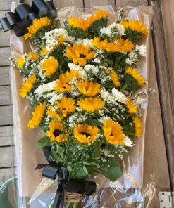 זר אבל פרונטלי