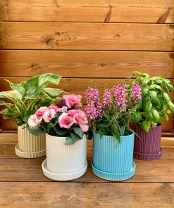 TZILI STRIPS CERAMICS POT