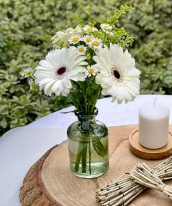 סידור שולחן היילי