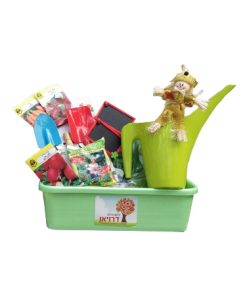 Alternative view of גינונת למתחילים