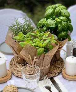 סידור שולחן סט תבלינים