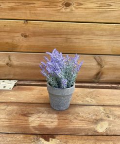 לוונדר סינטטי