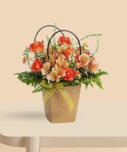 סיפור פרברים