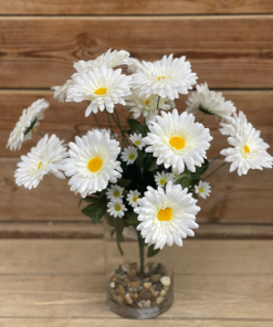 ביגי מרגריטה סינתטי