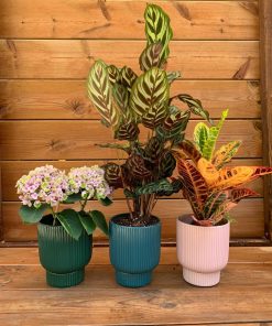 SAPIR STRIPS CERAMICS POT