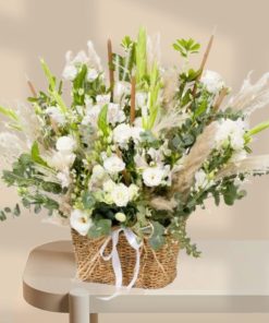 סידור איטליה הלבנה