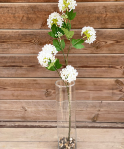 Alternative view of ענף פלוקס סינתטי