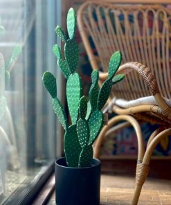 קקטוס מלאכותי בעיצוב מודרני