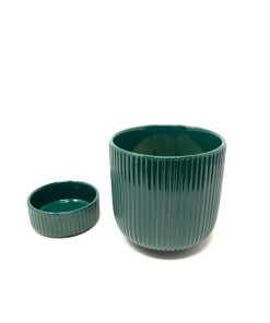 כלי פסים עם תחתית מעוגל ירוק