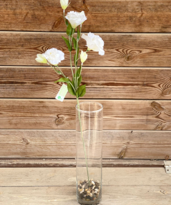 בוקט ליזיאנטוס לבן סיתנטי