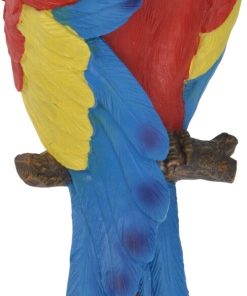 תוכי סולרי אדום