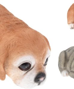 בעל חיים קומפקטי