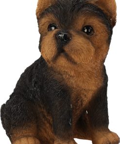 Alternative view of כלב חמודי