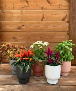 Alternative view of עציץ קרמיקה ספיר ע.12