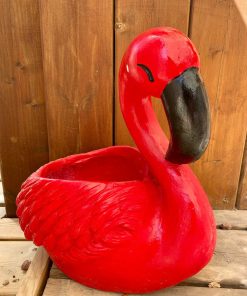 עציץ פלמנגו