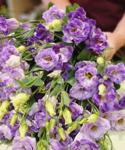 סדנת שזירת פרחים