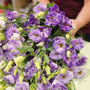 סדנת שזירת פרחים