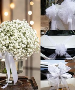 סט בדרך לחתונה עוצרים במשתלת דרויאן