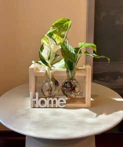 סטנד עץ בינוני