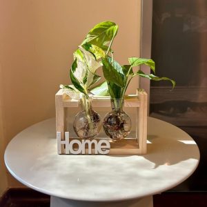 סטנד עץ בינוני