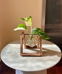 סטנד עץ קטן