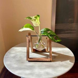 סטנד עץ קטן