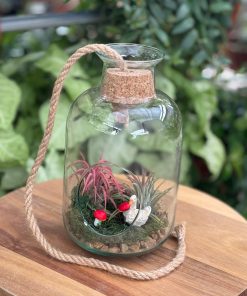 סיפור באוויר