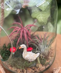 סיפור באוויר