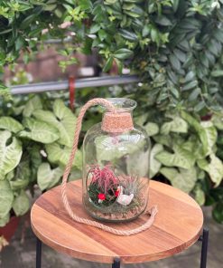 סיפור באוויר