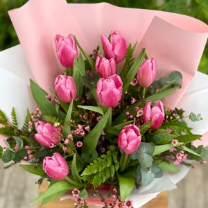 טוליפ- סיפור אהבה חורפי