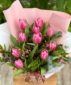 טוליפ- סיפור אהבה חורפי