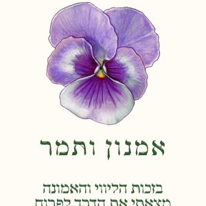 כרטיס אמנון ותמר