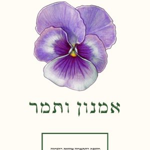 כרטיס אמנון ותמר