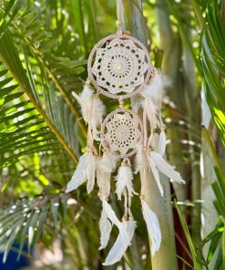 לוכד חלומות בז'