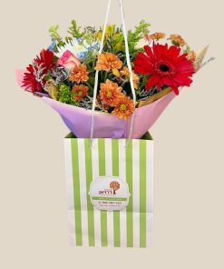 ברצלונה אריזה