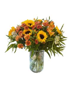 Sunflower רקע לבן