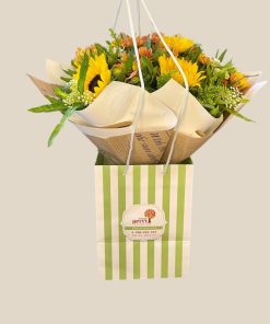 SunFlower אריזה