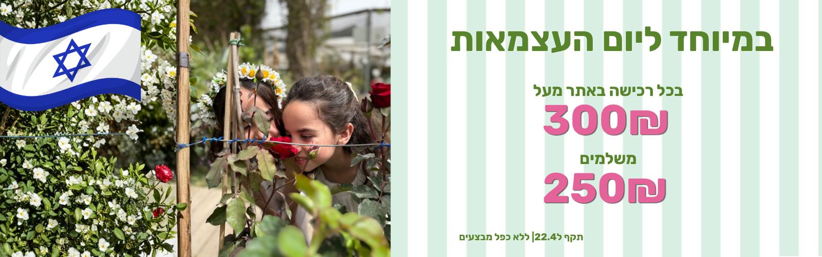יום העצמאות ברכישה מעל 300 שלם 250