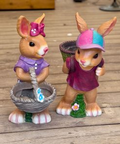 ארנבונים לנוי