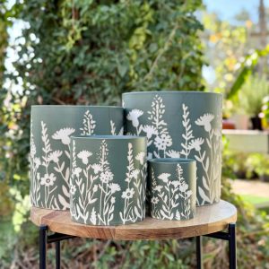 עציץ קרמיקה פרחים ירוקים