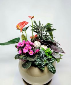 Alternative view of כדור פורח