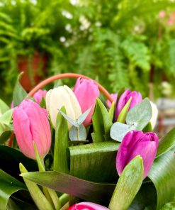 צבעים של אהבה