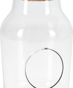 זכוכית טרריום