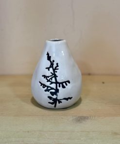 ואזה ים המלח