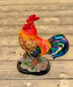 תרנגול לנוי