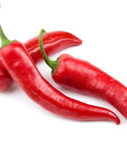 פלפל חריף - זרעים