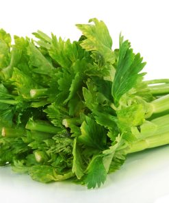 סלרי עלים - זרעים